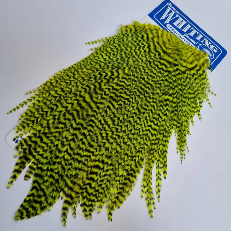 Whiting Freshwater Streamer Rooster Saddle in Grizzly Dyed Fl.Yellow Chartreuse